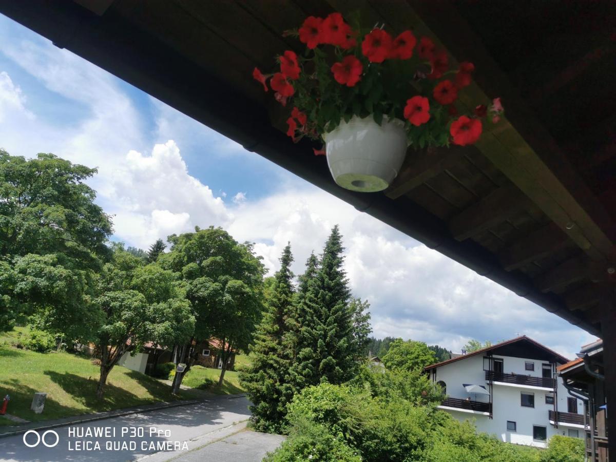 Aparthotel Chrysantihof - Bayerische Wald-Weber 茨维泽尔 外观 照片